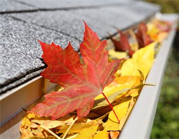 Fall Maintenance