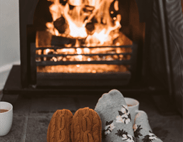 Wood stove